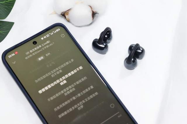 ip Super耳机体验尽享卓越音质m6米乐app高性价比之选南卡Cl(图10)